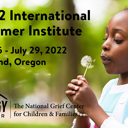 Summer institute web Summer institute web